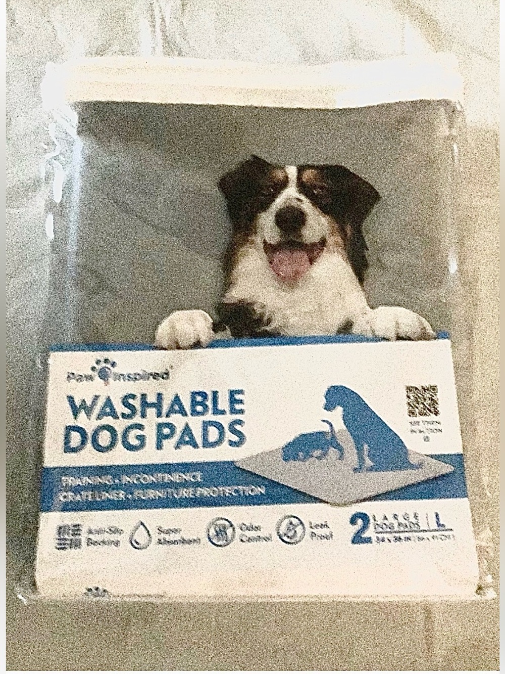 NEW Paw Inspired Set of Two Large Washable Dog Pads